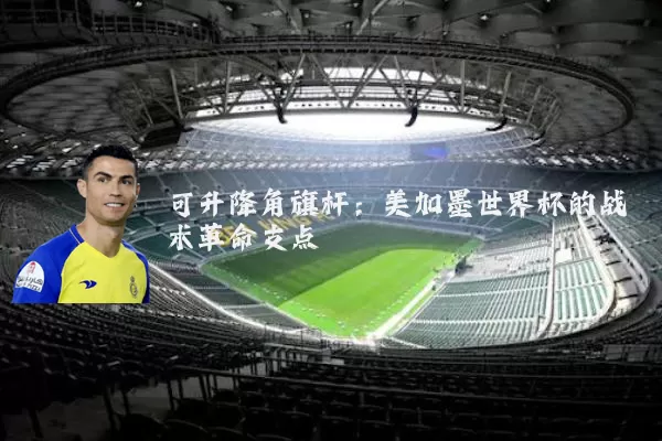 可升降角旗杆：美加墨世界杯的战术革命支点